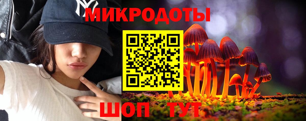 Первоуральск  Галлюциногенные грибы Psilocybe  Вход с VPN 